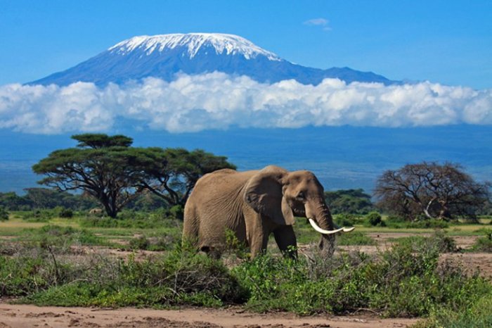 Top 10 Places To Visit in Tanzania